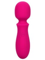 Bliss Mini Wand Rosa