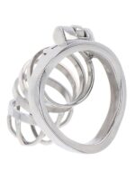 Chastity Cage - immagine 2