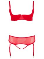 Curvy - Set Reggiseno e Reggicalze Rosso 2XL - immagine 9