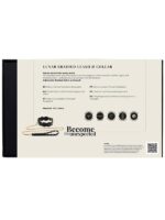 Eclipse - Collare e Guinzaglio  Similpelle Nero Oro - immagine 10