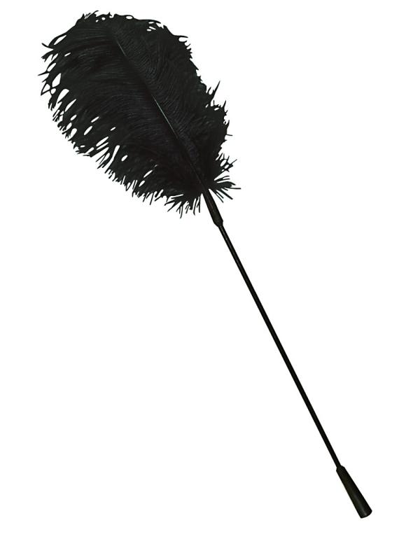 piuma_per_solletico_nero__378a66e38388a4870f264296318d39df Piuma per Solletico Nero - immagine 1
