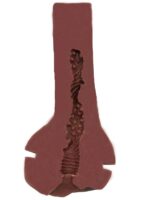 Sexy Sista - Masturbatore per Uomo - immagine 5