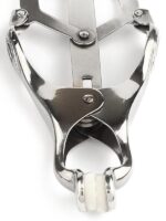 Squeezer - immagine 5