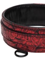 Sweet Anticipation - Collare e Guinzaglio  PVC Similpelle Nero Rosso - immagine 4